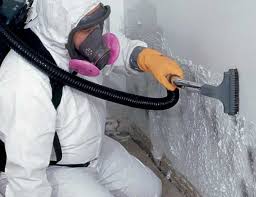 Mold Removal for HVAC Installations in Stony Prairie, OH